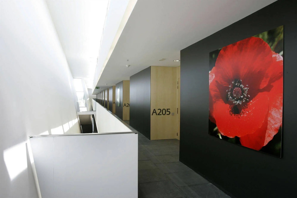 Centre Esplai Albergue