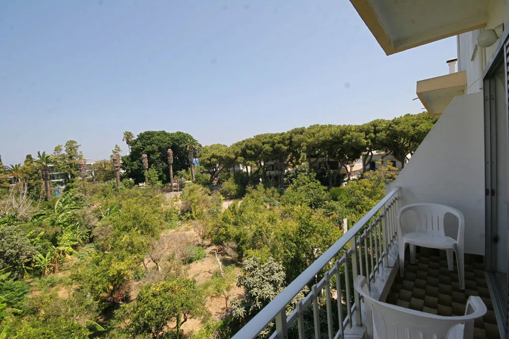 Camelia Hotel