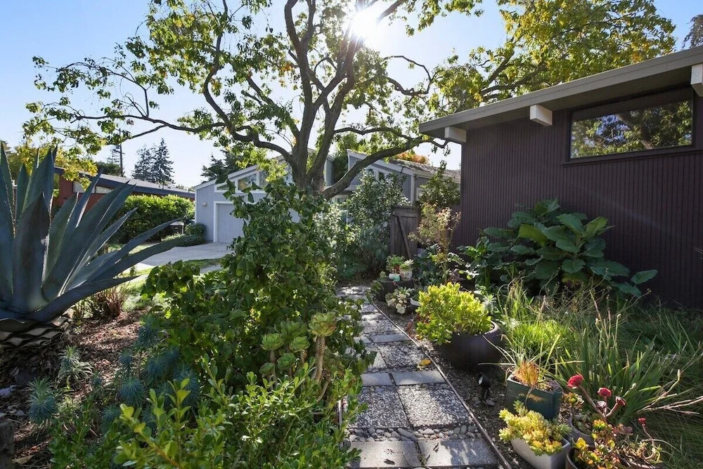 Cute and Cozy Studio in Palo Alto