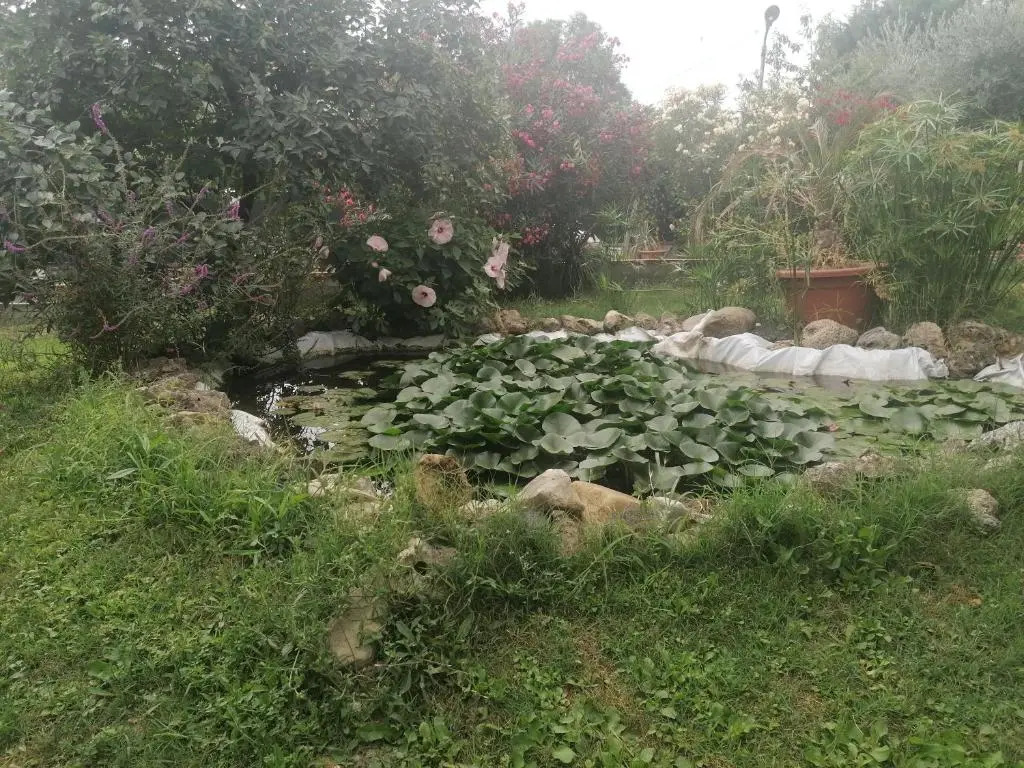 Casa delle Rose Agave