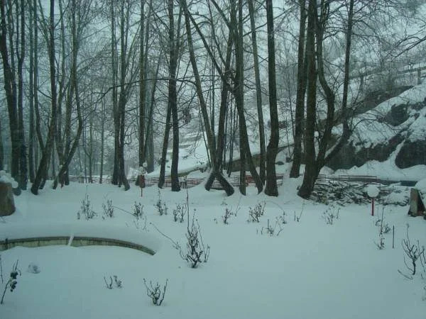Tamerland-faraya
