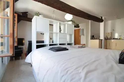 Appart Cosy Hyper Centre
