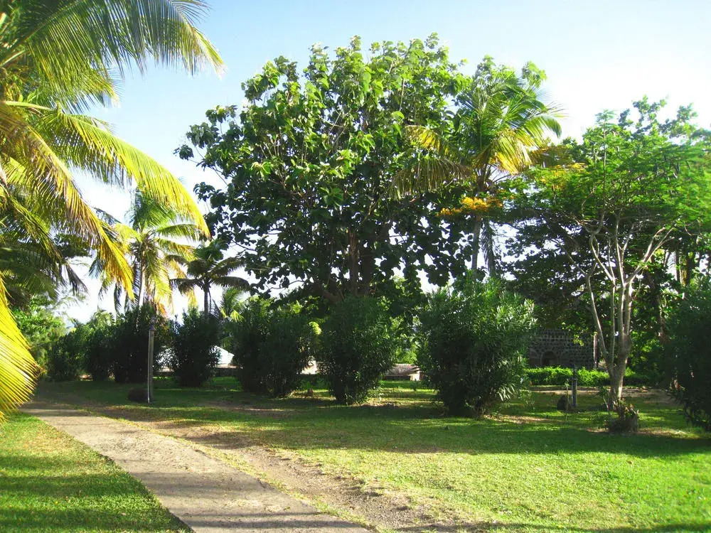 The Old Fort; Natural Hotel & Estate