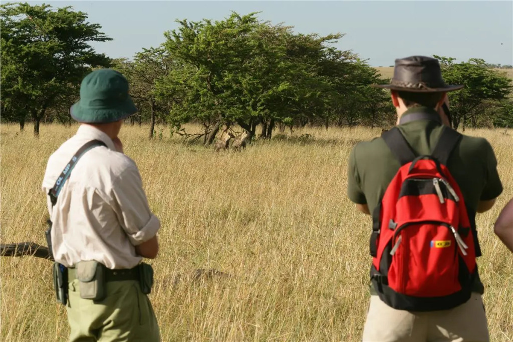 Kenya Safari – Kenya Classic Keekorok (6 Nights)