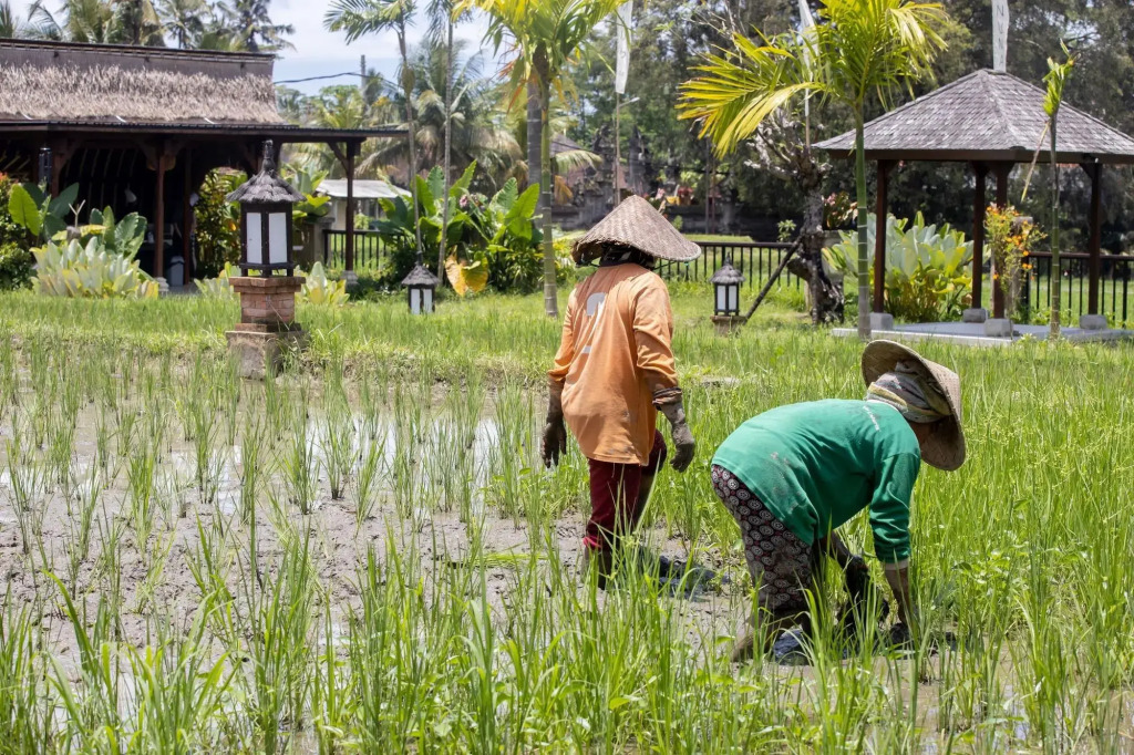 Anumana Village Ubud