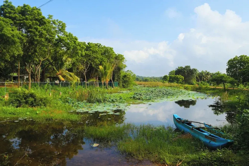 Leon Lakeside Hotel - Kataragama