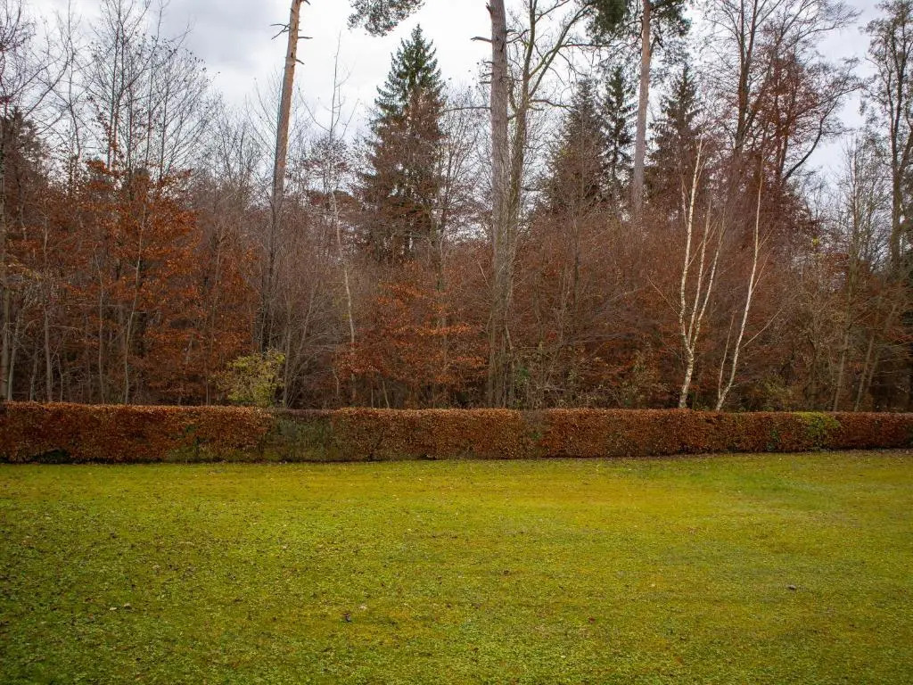 Seewaldblick - Ferienwohnung Am Bodensee