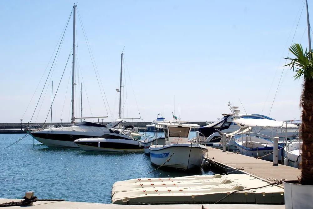Baratero Vlas Marina Apartment