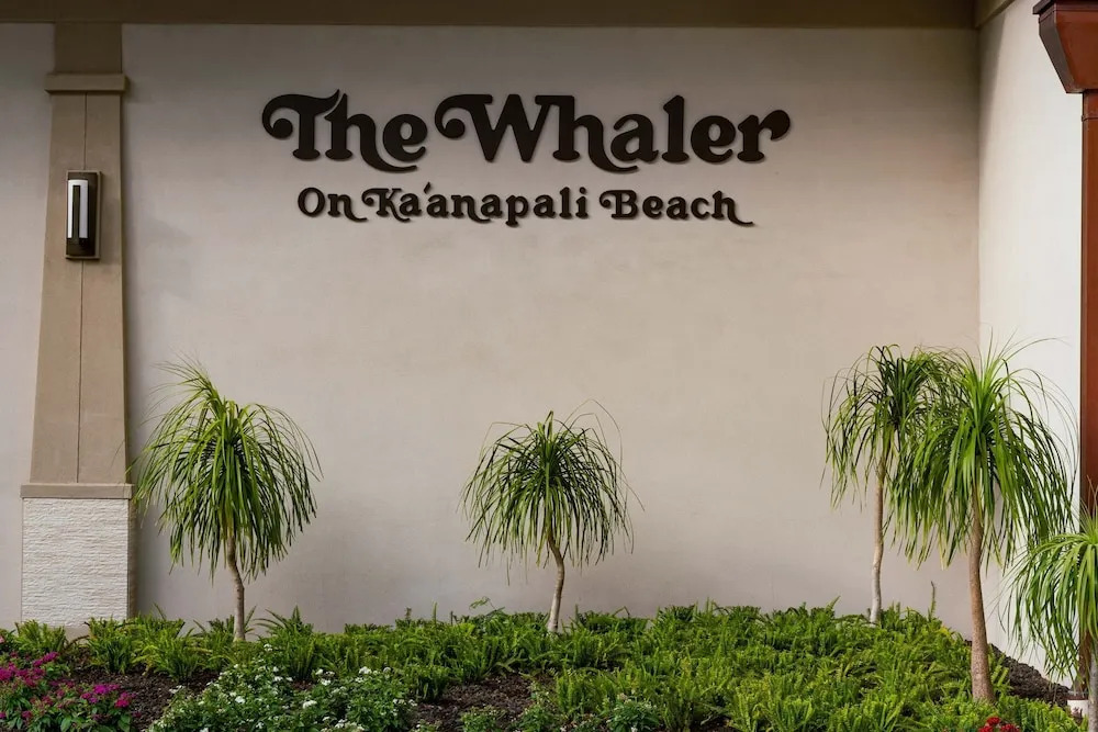 Whaler 518 Oceanview Studio Condo Condo by RedAwning