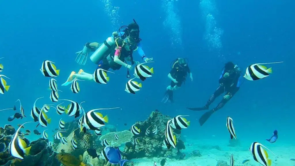 Sunia Loka Bungalows & Dive Center