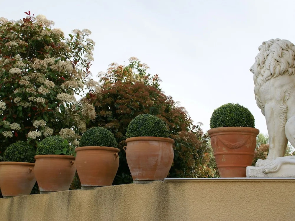 Soothing Holiday Home in Sainte-maxime With Swimming Pool