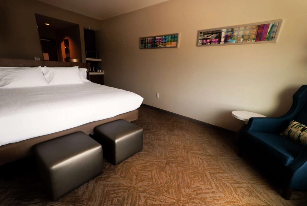 Hilton Garden Inn Dallas At Hurst Conference Center