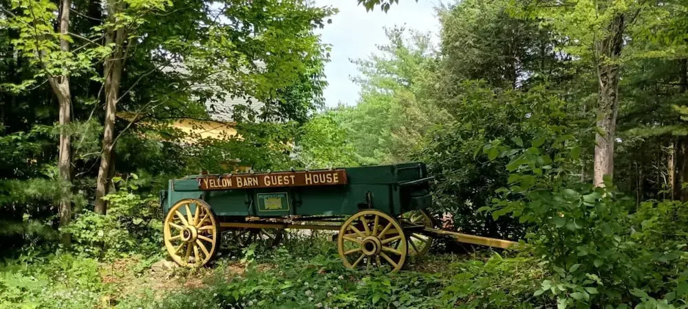 Yellow Barn Estate