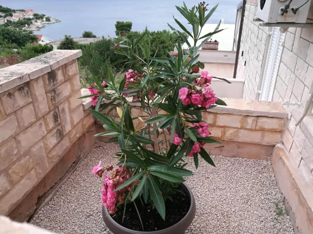 Apartments Villa Šibenik