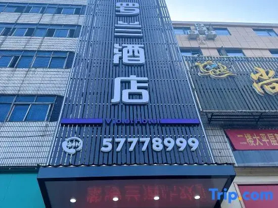 Violet Hotel