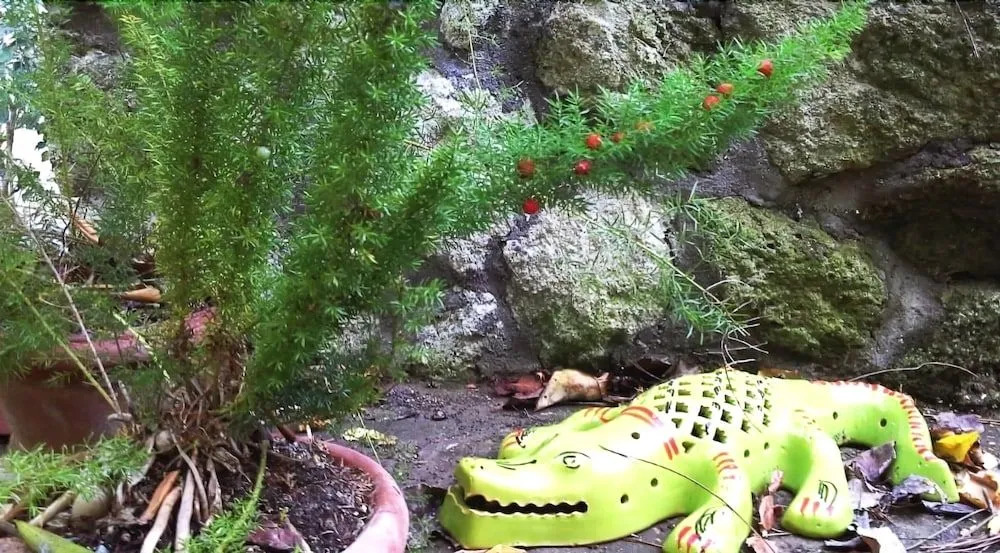 B&B La Salamandra Kitchengarden