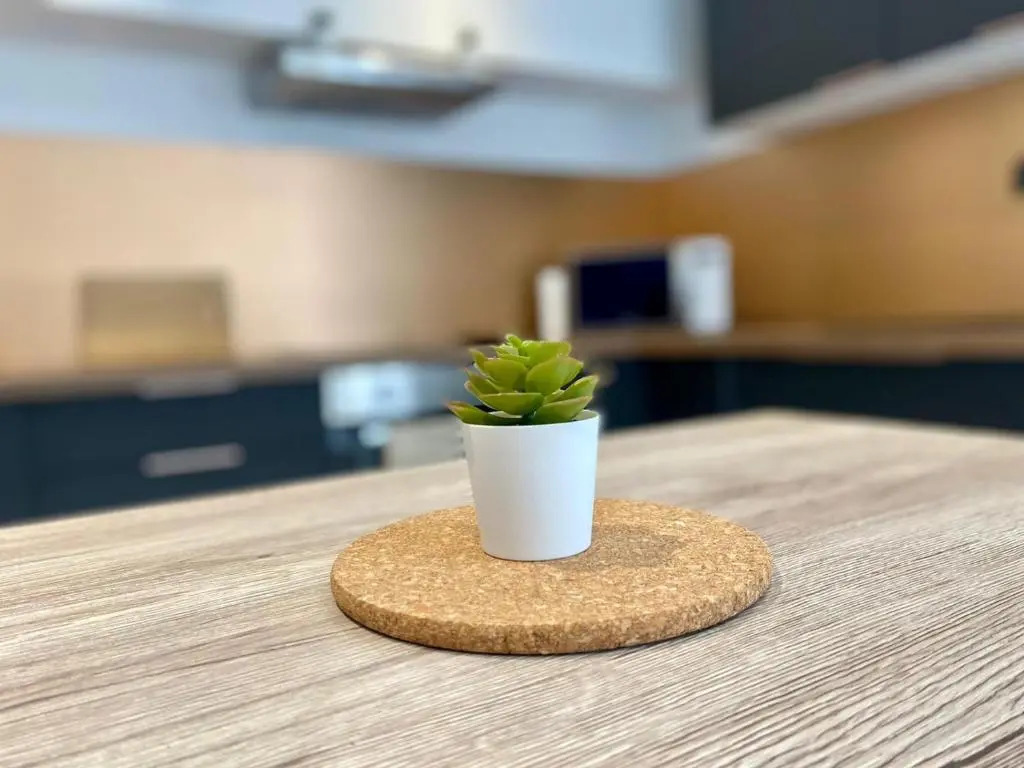 Bel appartement T2 de 50 m², spacieux et lumineux