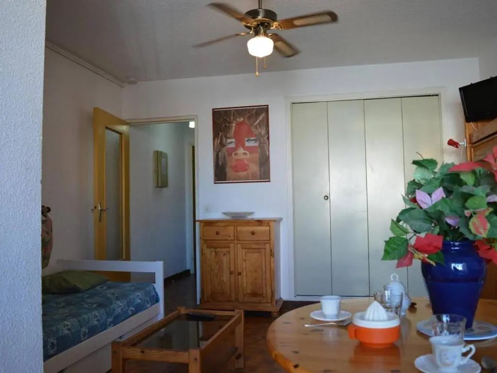 Appartement Saint-Cyprien, 1 pièce, 4 personnes - FR-1-225D-2