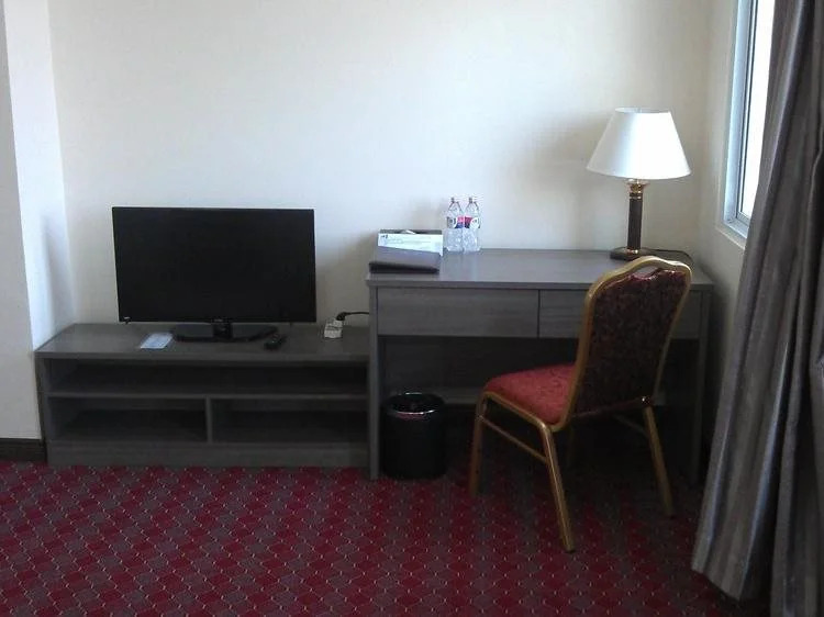 The Palm View Hotel