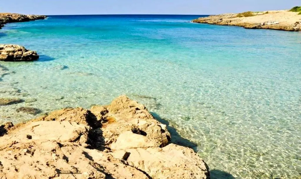 Villa Mimosa ad Alghero a 2km dalla spiaggia per 6 persone