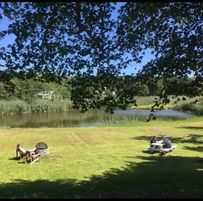 The Copper Swan