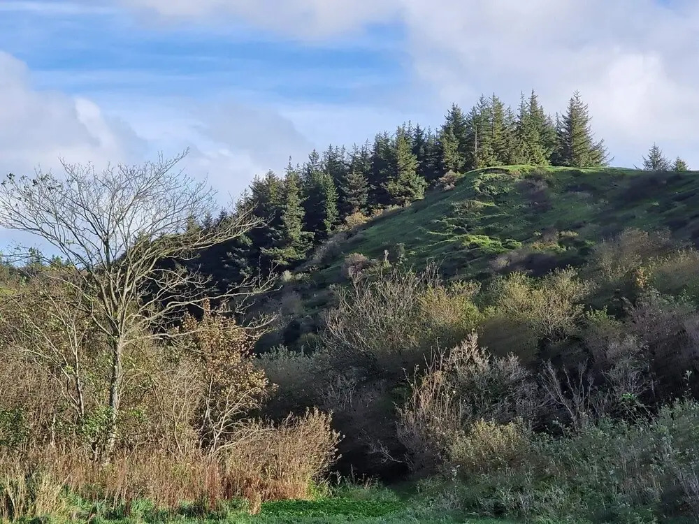 10 Person Holiday Home in Brovst