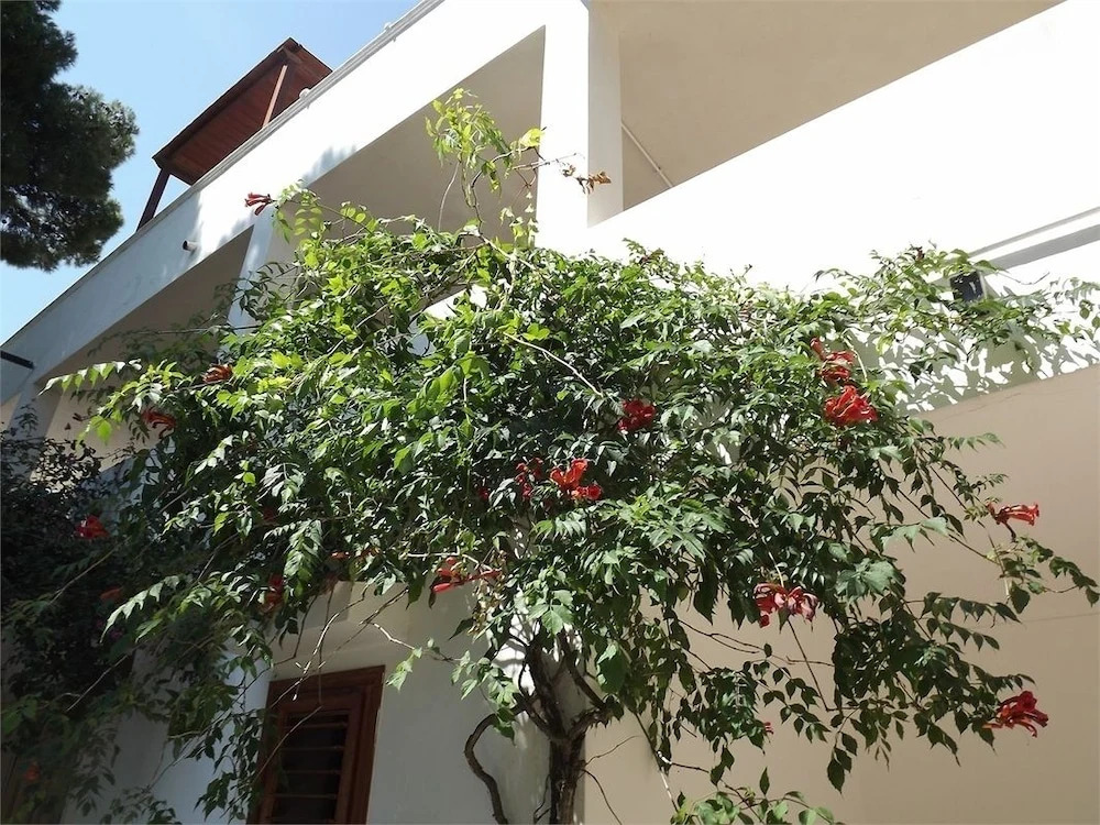 Residenza Collina Dei Pini