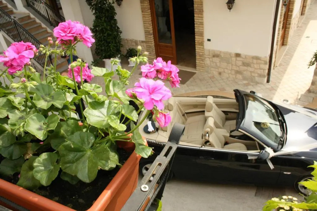 Il Vecchio Mulino