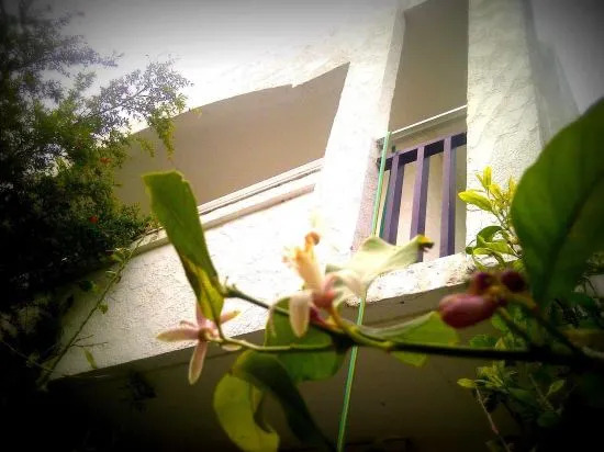 Thalassa Luxury Villa