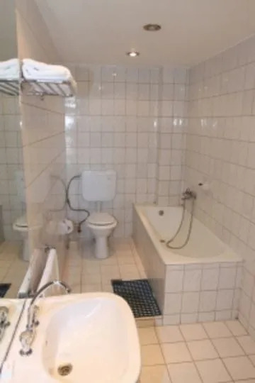 Hotel Banat