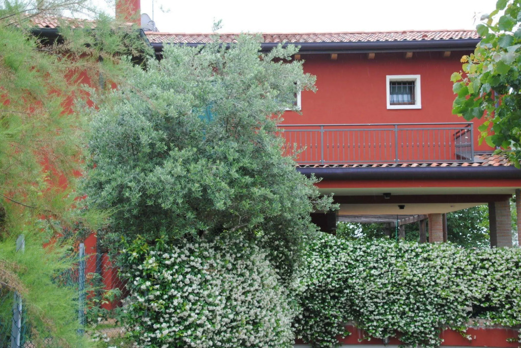 Casa Rosso Veneziano