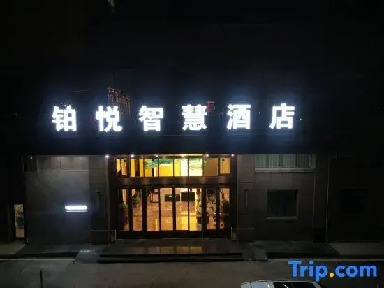 Platinum Joy Smart Hotel