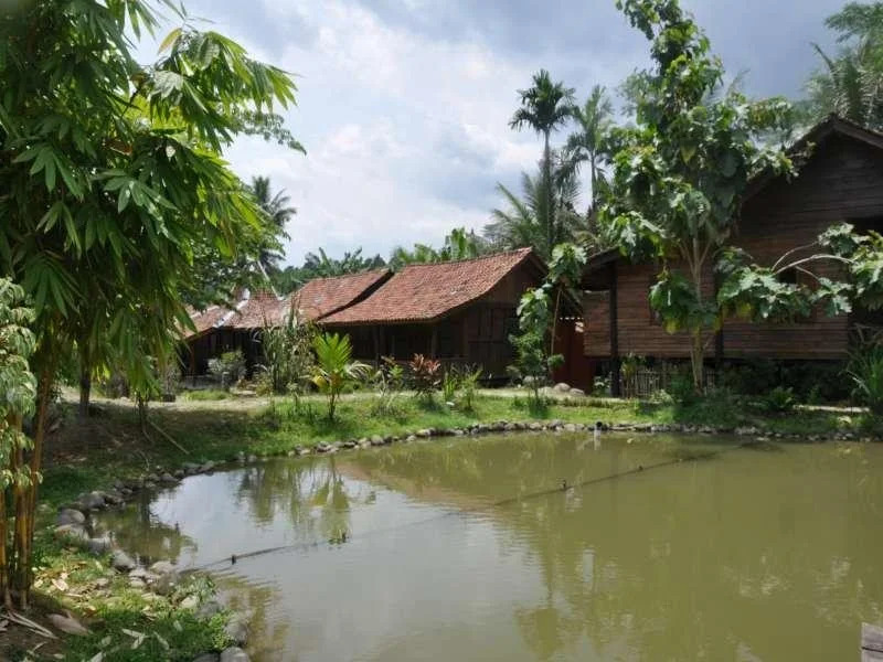The Pikas Resort