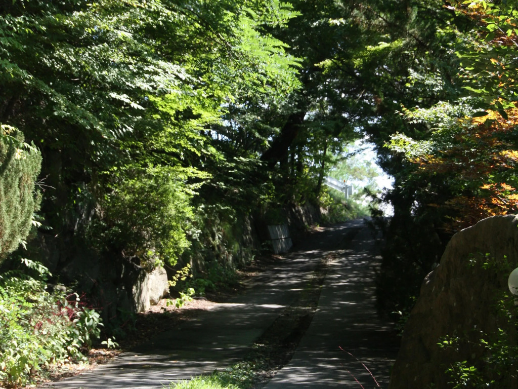 Nakadanaso