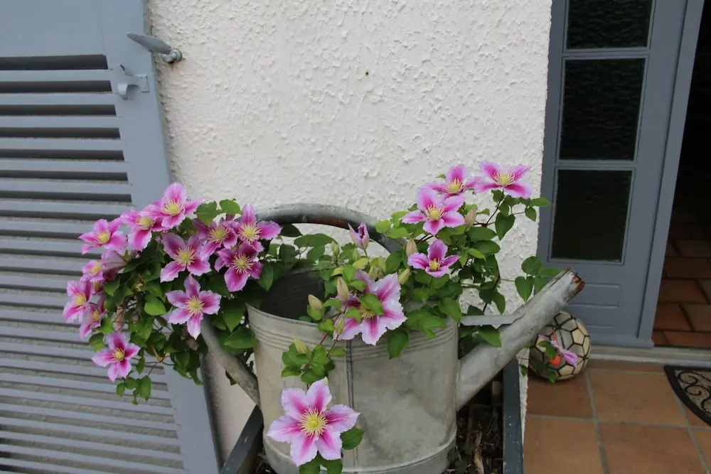 Maison dhôtes LE LAVOIR