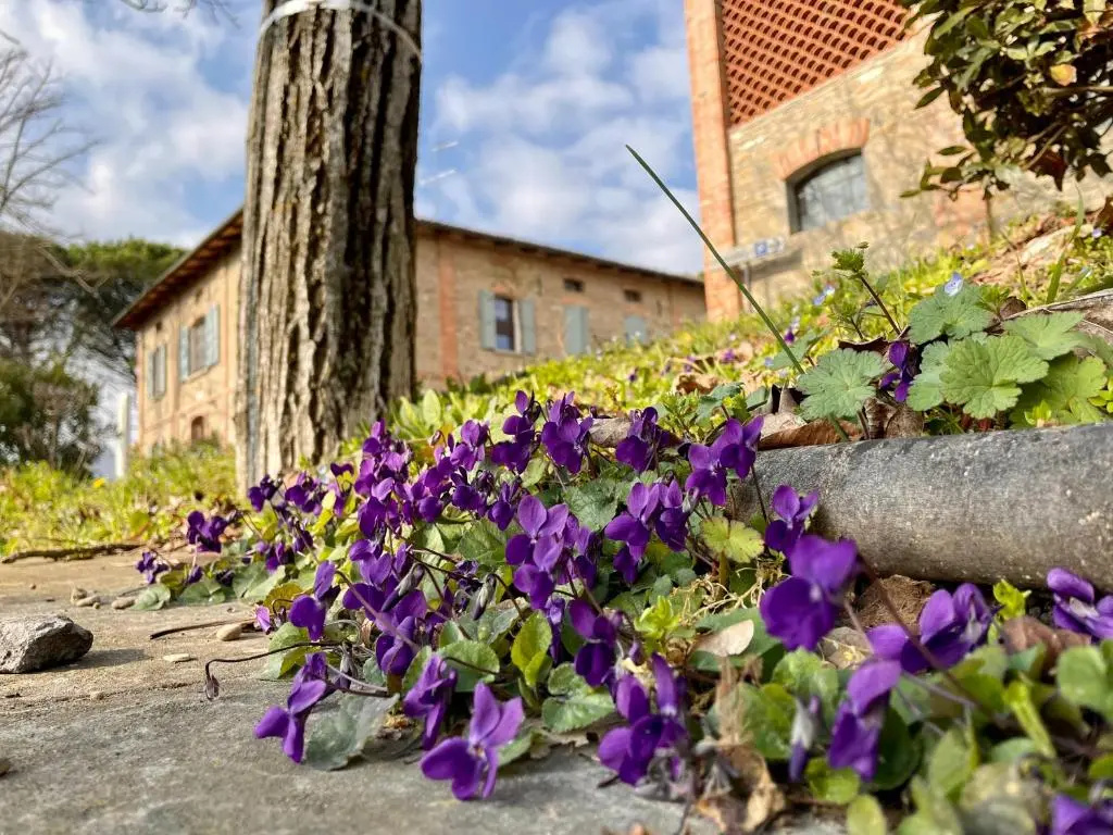 Il Cardello Locanda