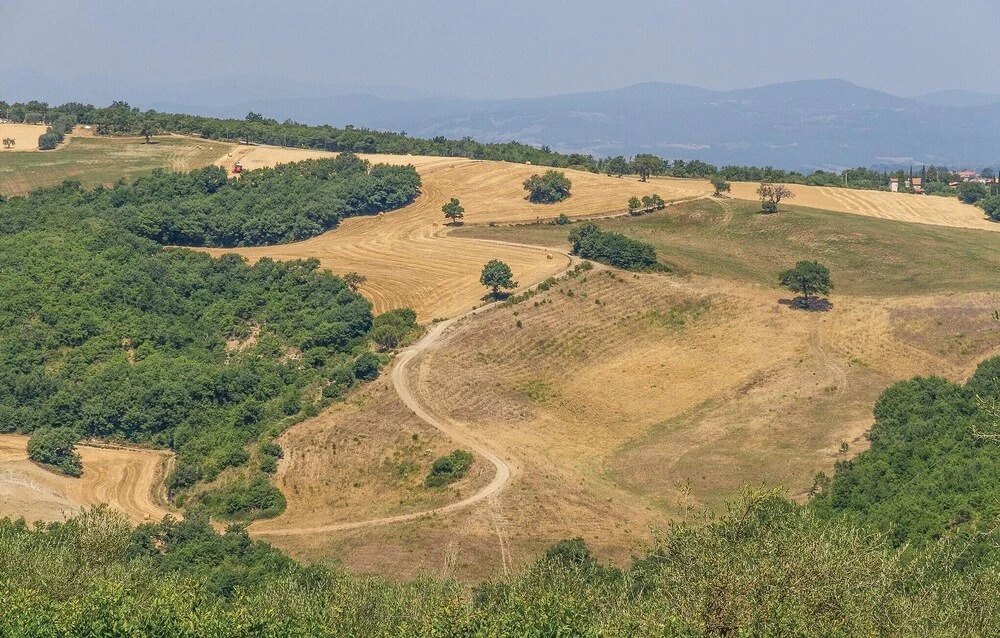La Querciola