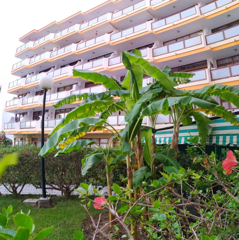Apartamentos Australia