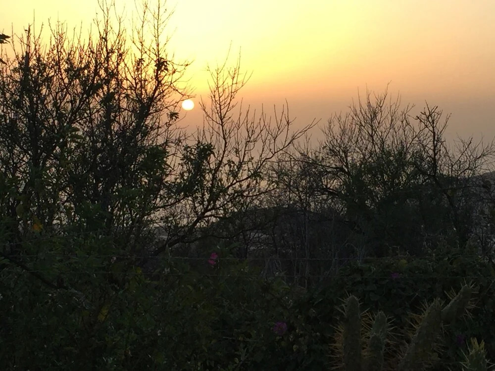 El Mirador de El Paso - vistas y piscina