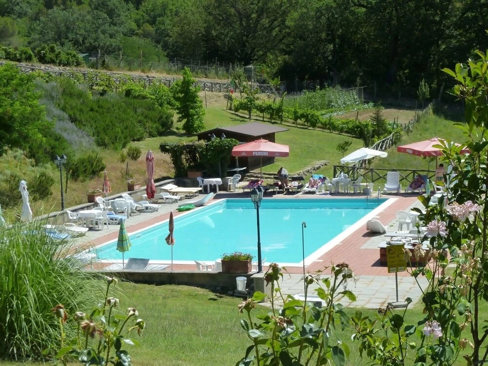 Vigneto Rimaggio