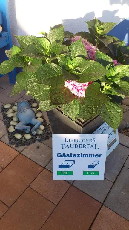 Hotelpension Gästehaus Birgit