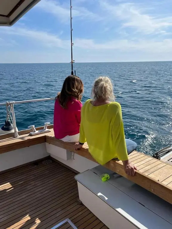 delphin 4 odysea it