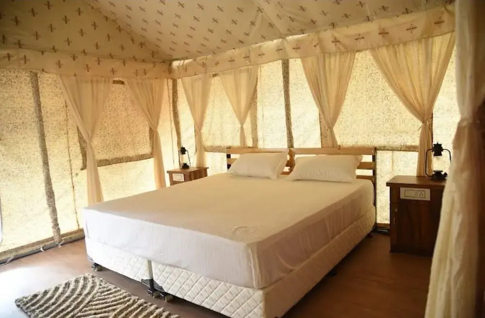 Nomadic soul camps Bir Biling ,Best camp in Bir , River side Camp