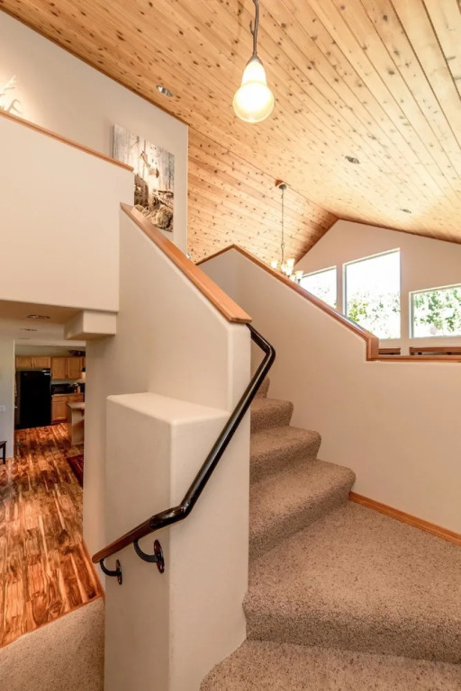 The Cabin