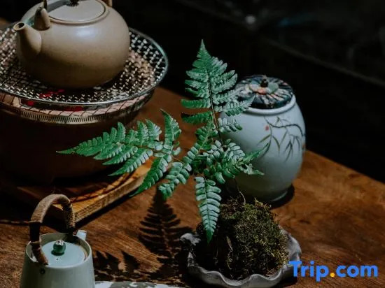 Xipu Boutique Hostel