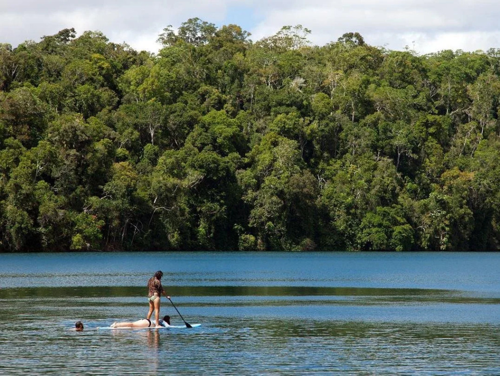 Chambers Wildlife Rainforest Lodges