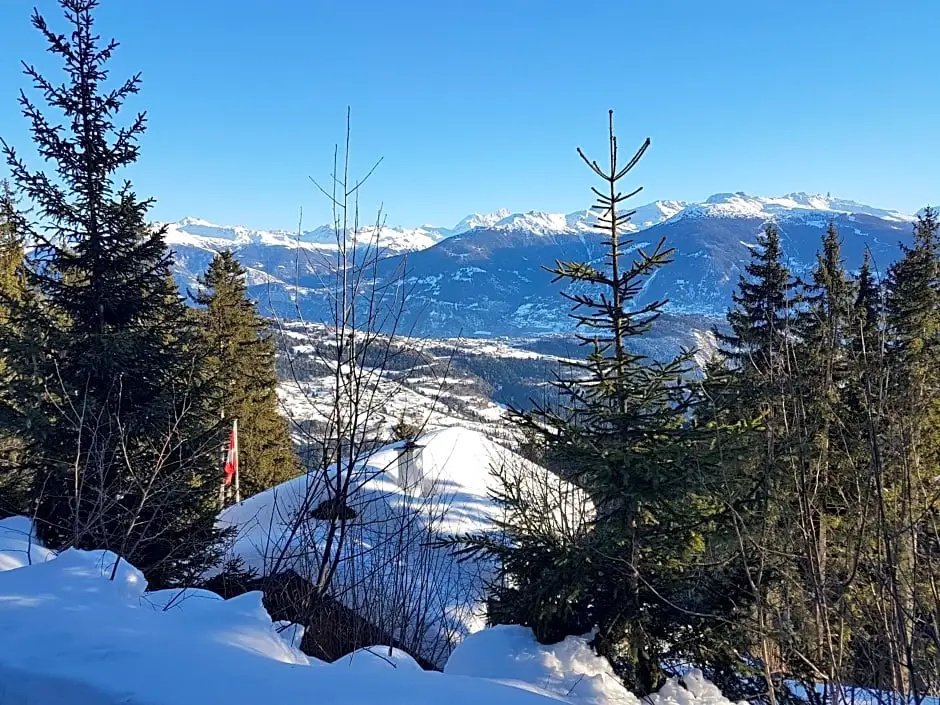 Holidays Groupes Anzère