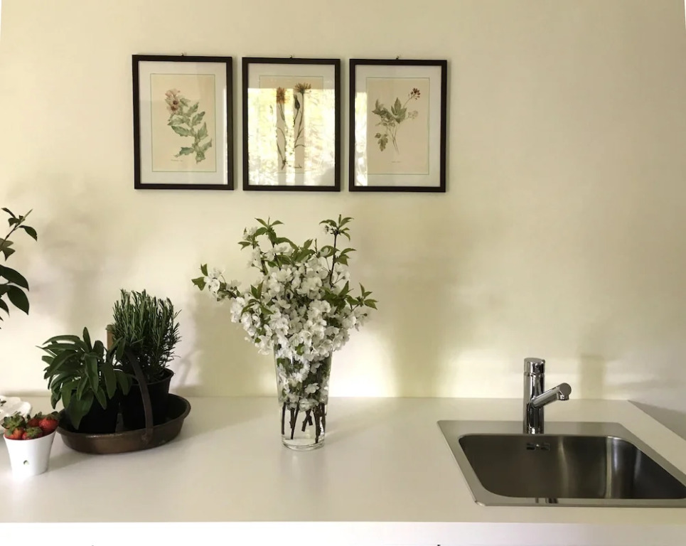 House & Garden