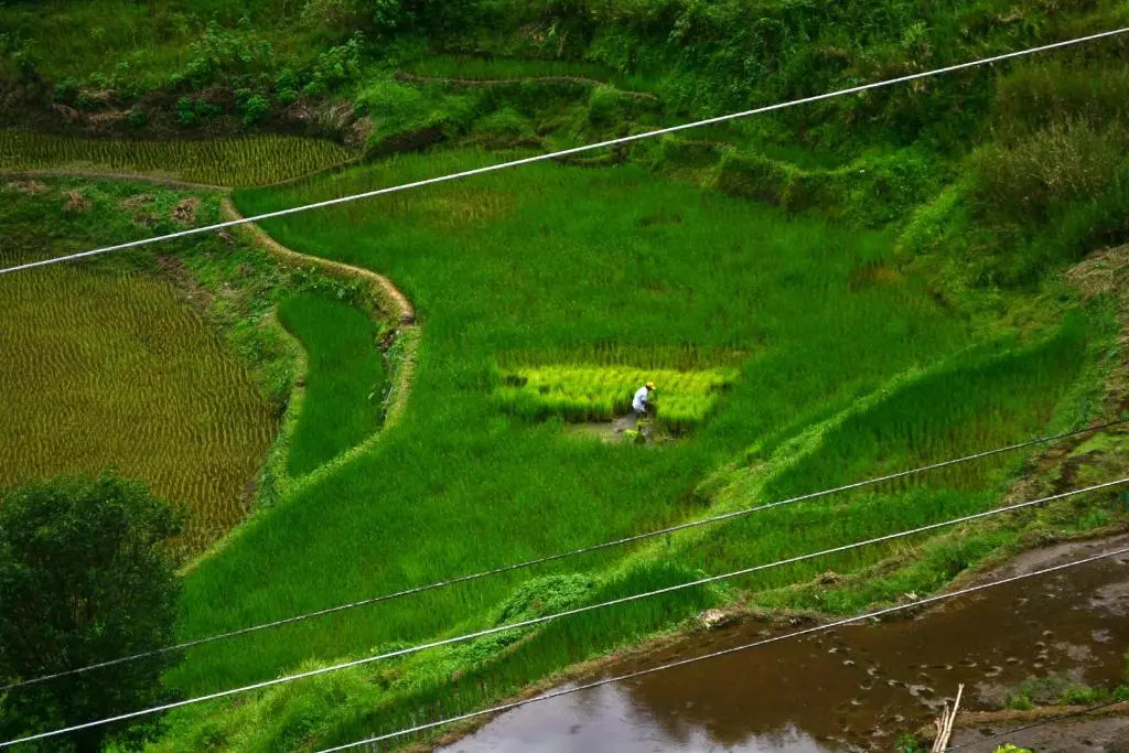 Banaue Greenfields Inn and Restaurant