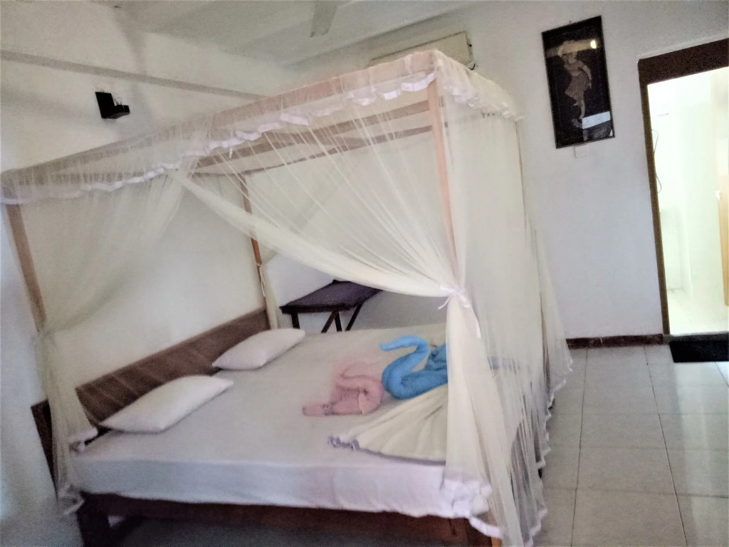 Hansa Surf Hotel